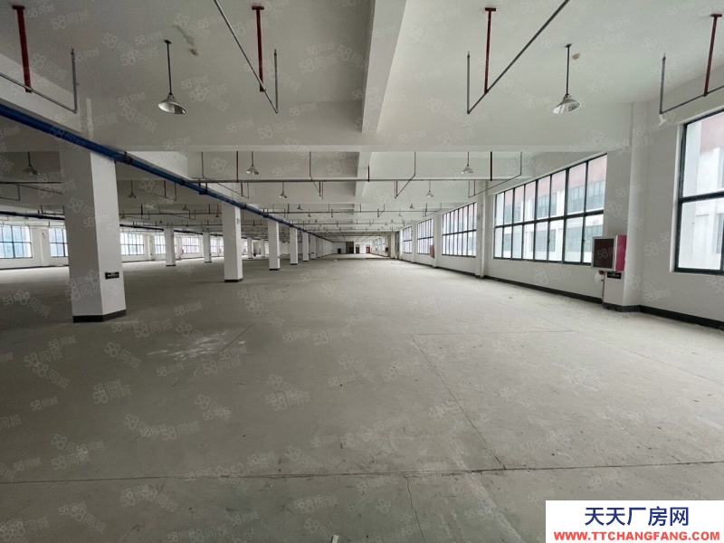 (出租) 合肥包河青網科技園招商部直租350平至2000平