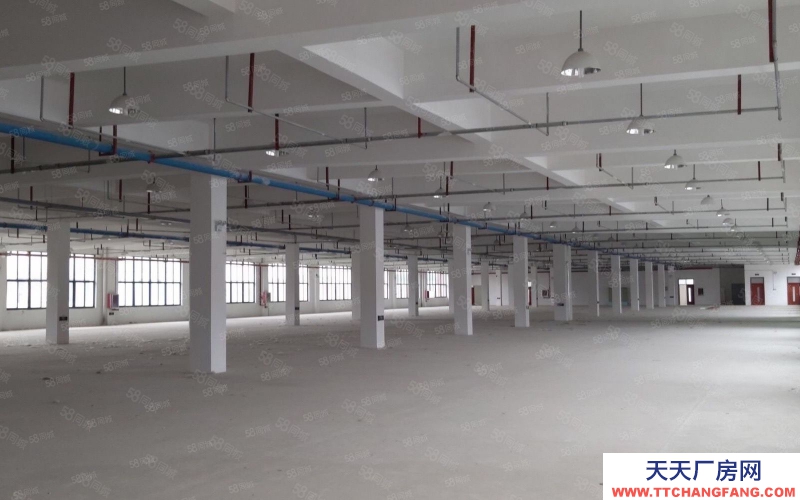 (出租) 合肥辦公加倉儲一體化的包河政府園區面積大小可選享受政策減免