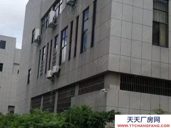 (出售) 南昌安義縣羅亭大道標(biāo)準(zhǔn)廠房出售。帶院子