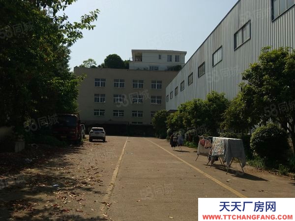 長沙市天心區  國有資產混疑土結構適合辦學康養醫院物業招租