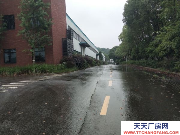 長沙市天心區  大型廠房出租 適合辦學校 獨門獨院交通便利形象好
