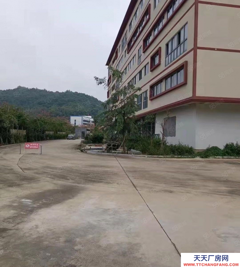 (出租)深圳 羅湖地鐵口廠房寫字樓倉庫29000平米招租