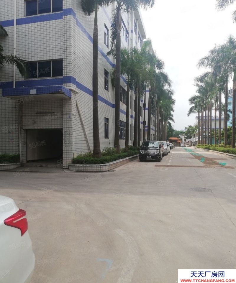 (出租) 深圳羅湖布吉木棉灣科技園1000平可分26一平，電商倉(cāng)儲(chǔ)加工辦公