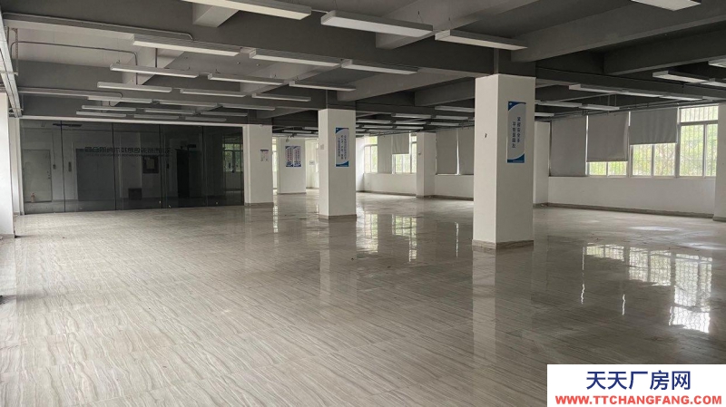 (出租) 深圳羅湖新秀工業(yè)區(qū)9棟二樓出租戶型方正采光好