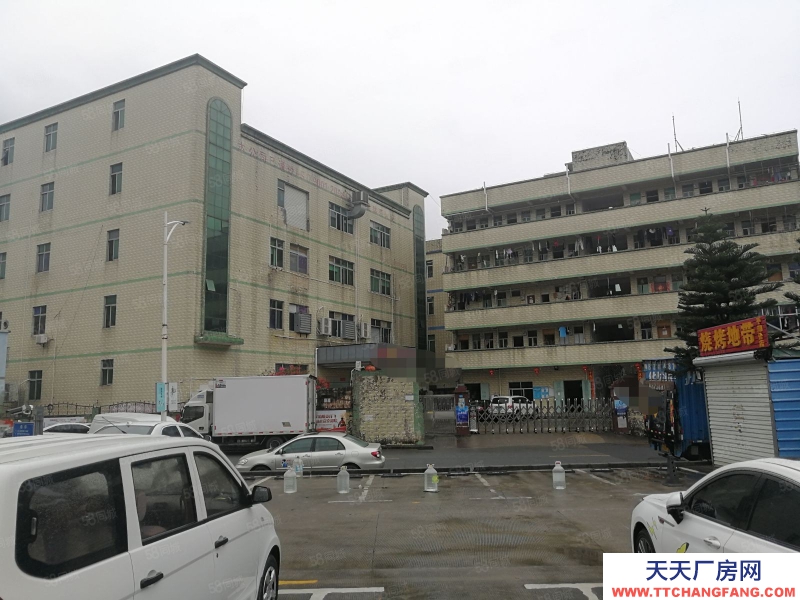 (出售) 深圳羅湖東門4800平獨(dú)門獨(dú)院紅本廠房出售占地面積2850平