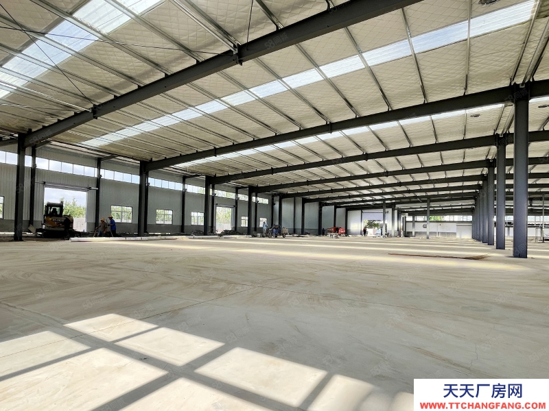 青島城陽 新建一樓 獨門廠房 層高9米 交通便利 隨時看房