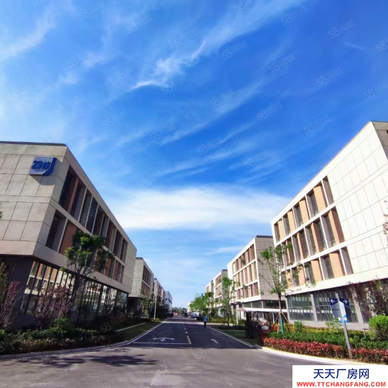 青島城陽(yáng)2層半標(biāo)準(zhǔn)廠(chǎng)房(贈(zèng)送超大露臺(tái)可做空中花園可封閉使用)