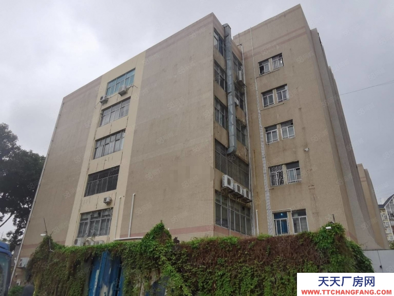 (出售) 深圳福田鵬基工業(yè)區(qū)廠房出售，13358平方低于市場價1個億