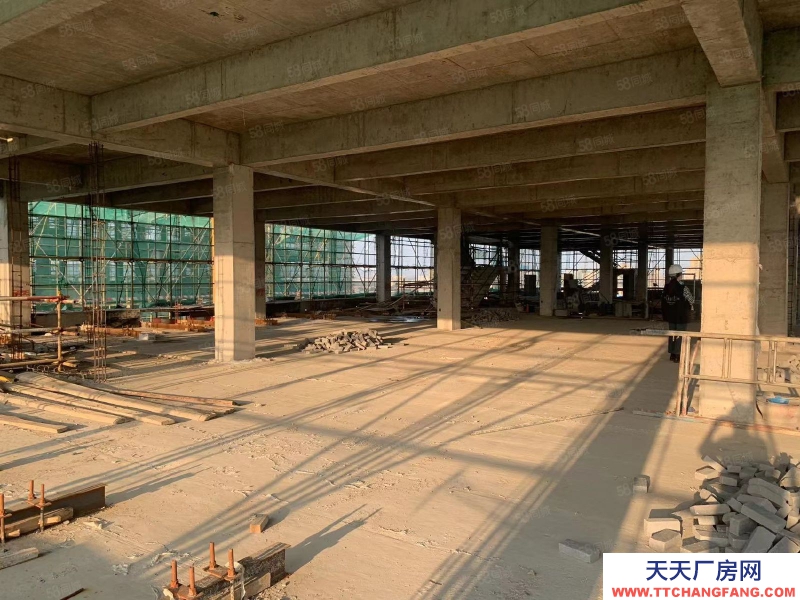 青島 城陽上馬街道高新區 河東路 寫字樓 辦公樓 廠房特價