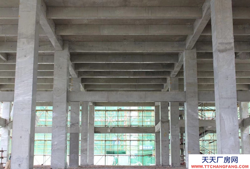 青島 城陽上馬街道高新區 河東路 寫字樓 辦公樓 廠房特價