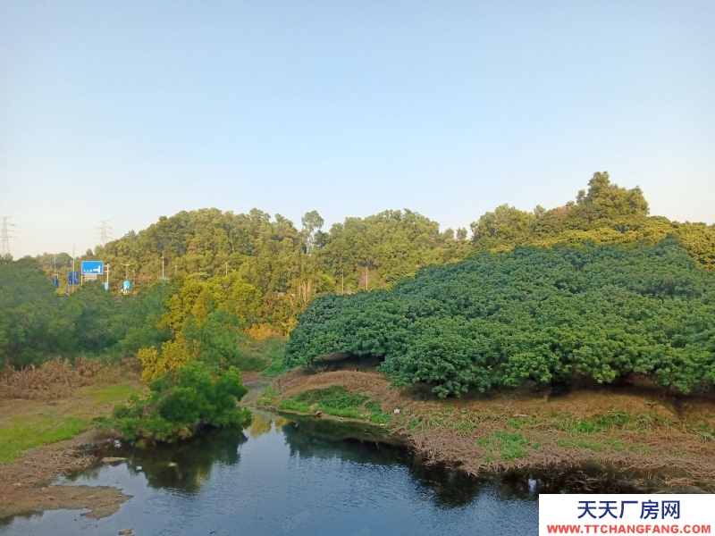 (出租) 深圳福田八卦嶺地鐵口全新研發辦公樓6000平出租100平起分租