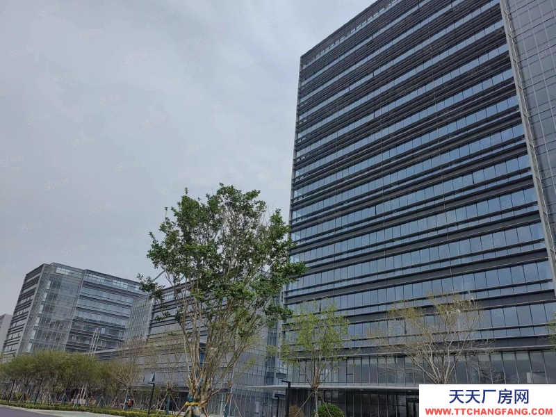 青島膠州上合示范區核心位置高標準園區廠房