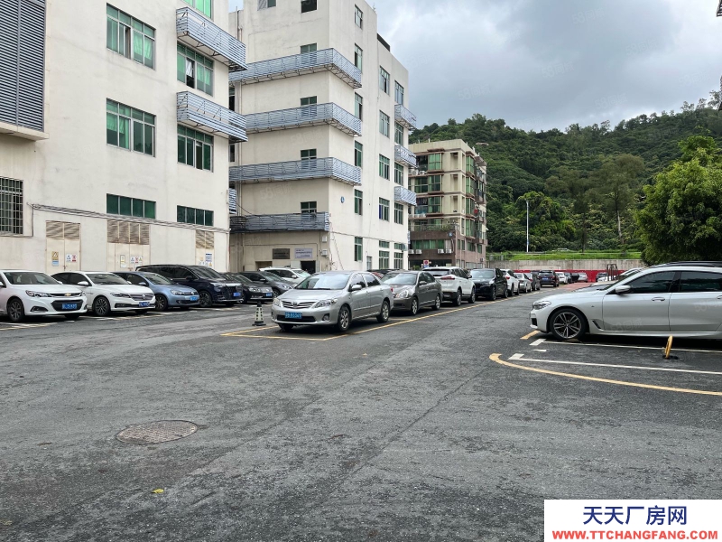 (出租)深圳南山 西麗百旺信產(chǎn)業(yè)園廠房12樓出租2500平米