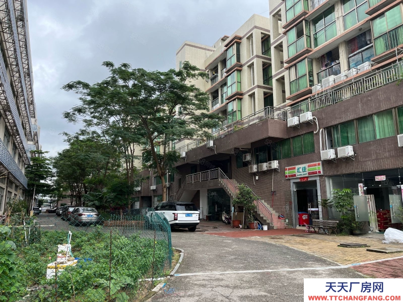 (出租)深圳南山 西麗百旺信產(chǎn)業(yè)園廠房12樓出租2500平米