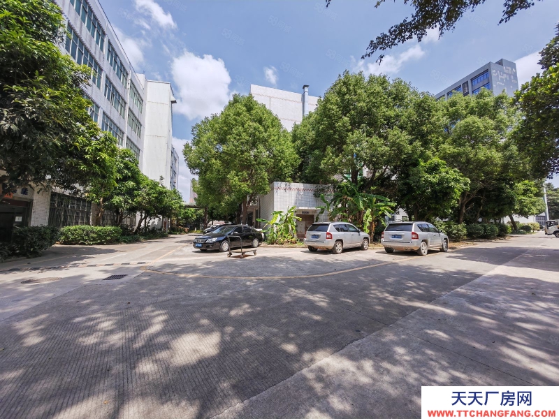 (出租) 深圳南山現(xiàn)成裝修可分租200平西麗陽光工業(yè)園樓上500平標準廠房出租