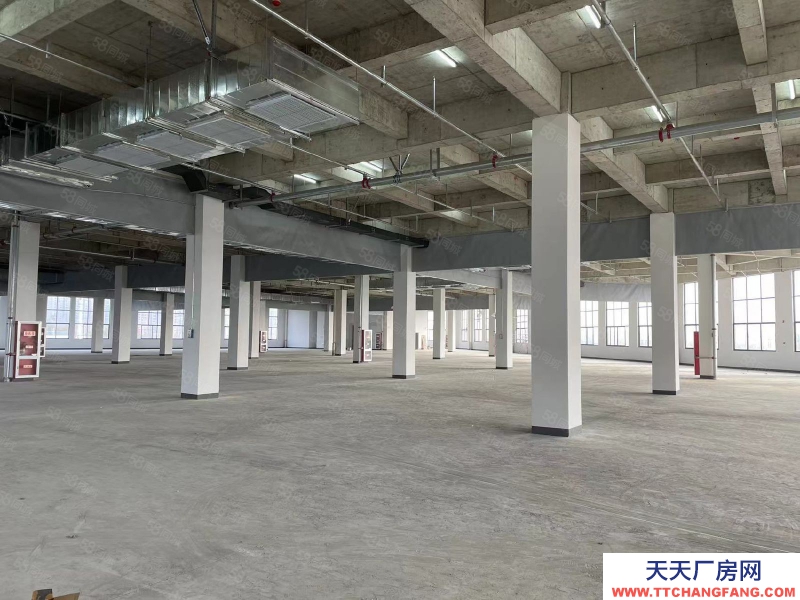 (出租) 安徽肥東縣撮鎮鎮大彭路2W平方廠房招租