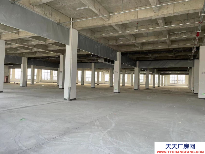 (出租) 安徽肥東縣撮鎮鎮大彭路2W平方廠房招租