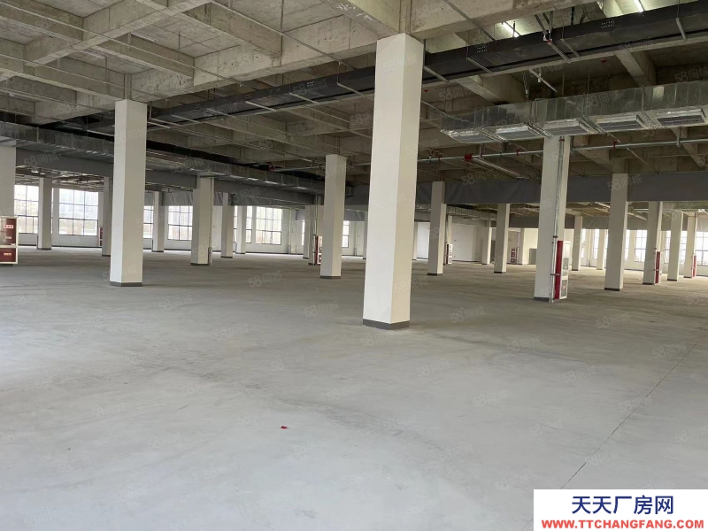 (出租) 安徽肥東縣撮鎮鎮大彭路2W平方廠房招租