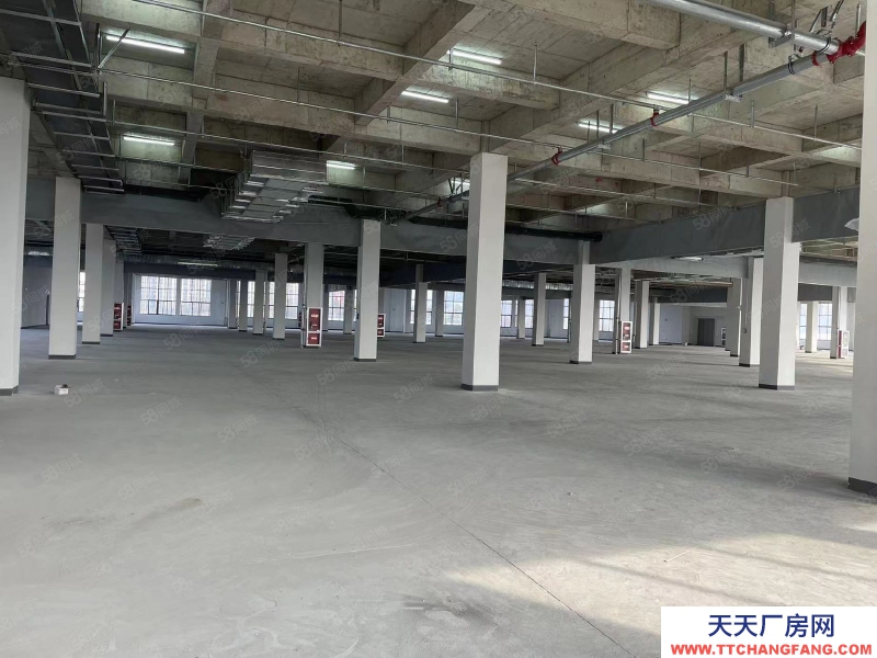 (出租) 安徽肥東縣撮鎮鎮大彭路2W平方廠房招租