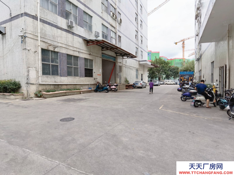 (出租) 深圳南山凍庫冷庫倉庫配送 西麗原房東一樓廠房950平復式