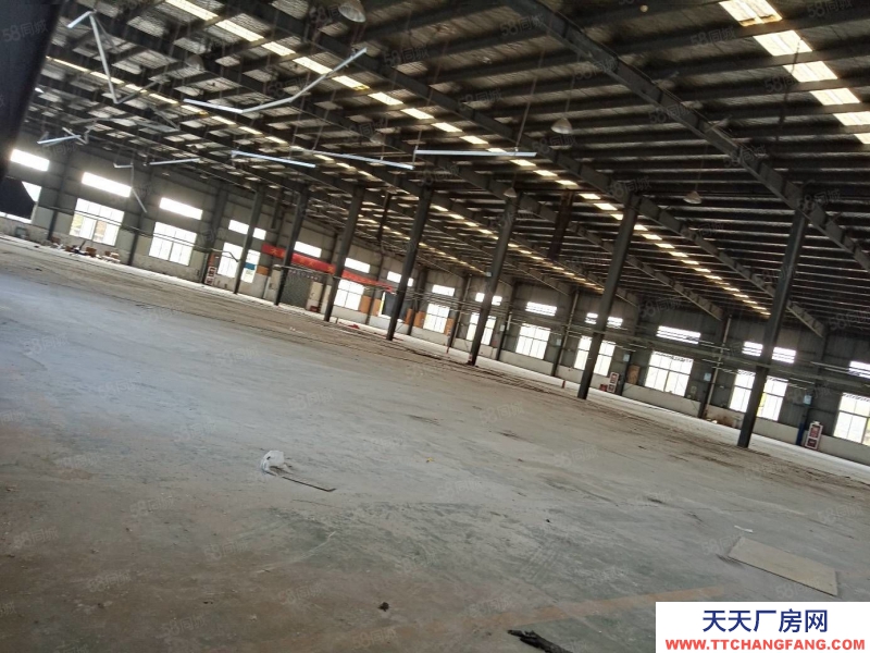 (出租) 合肥蜀山3500平鋼結(jié)構(gòu)廠房,需要生產(chǎn)型企業(yè)