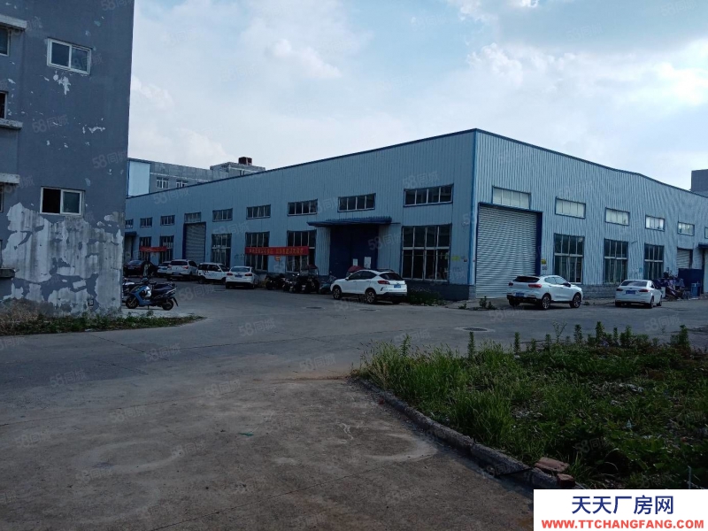 (出租) 合肥蜀山3500平鋼結(jié)構(gòu)廠房,需要生產(chǎn)型企業(yè)