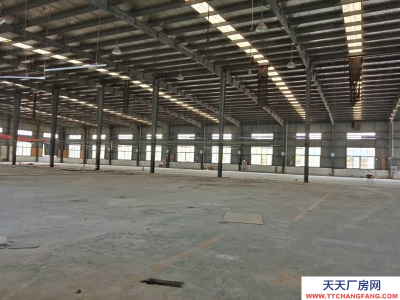 (出租) 合肥蜀山3500平鋼結(jié)構(gòu)廠房,需要生產(chǎn)型企業(yè)