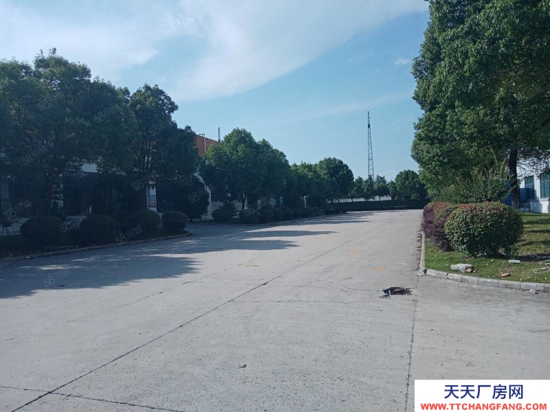 (出租) 合肥蜀山3500平鋼結(jié)構(gòu)廠房,需要生產(chǎn)型企業(yè)