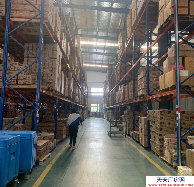 青島膠州新建廠房，水泥地面，高6米，寬35長38