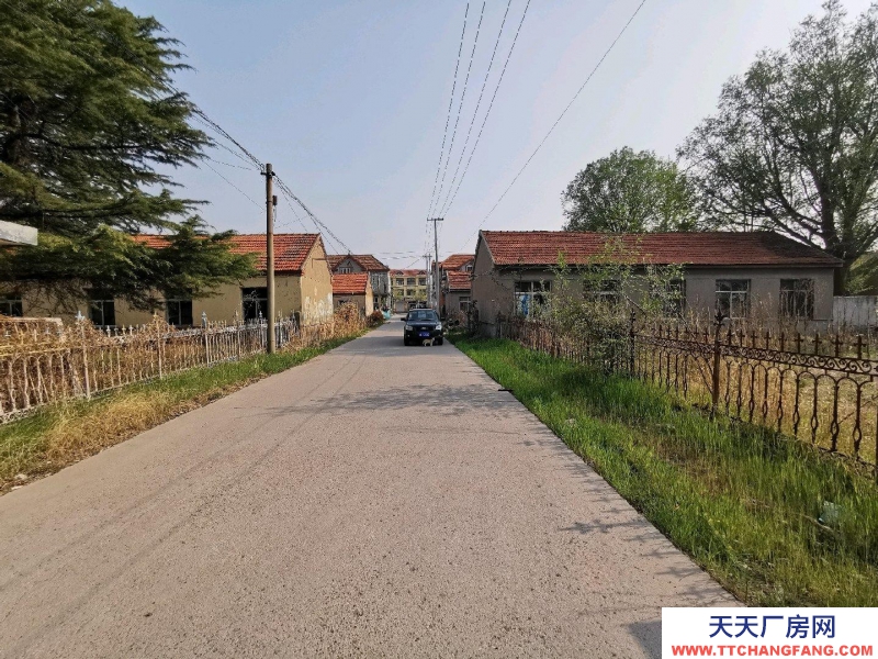 青島膠州洋河鎮(zhèn)駐地，有平房若干，對外出租，單門獨院。