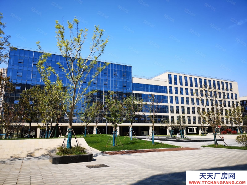 (出租)合肥蜀山 研發廠房辦公樓出租政府園區招商可辦環評