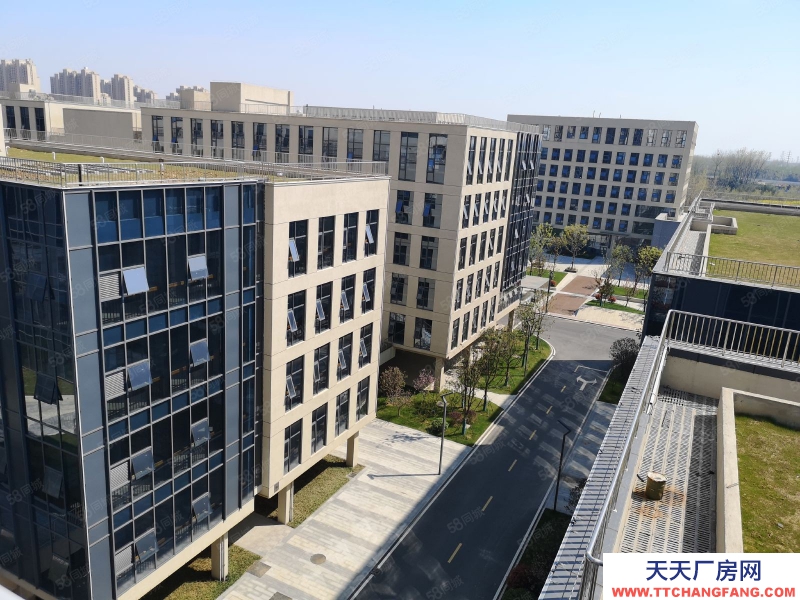 (出租)合肥蜀山 研發廠房辦公樓出租政府園區招商可辦環評