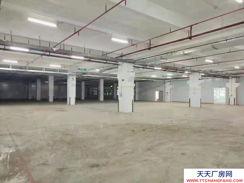 (出售) 深圳南山區(qū)廠房6000平米出售