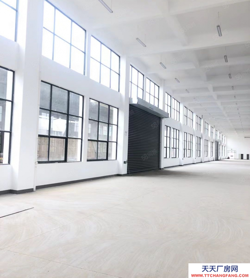 (出租) 合肥蜀山經(jīng)開主干道上獨棟1001平標(biāo)準(zhǔn)廠房 ，場地寬敞