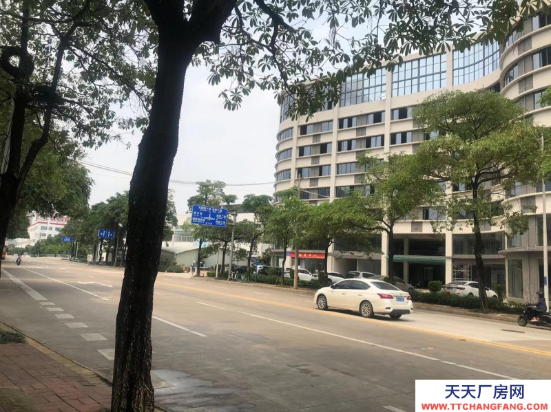 南寧市西鄉塘區(出租) 科興路6號 全新毛坯房,可做廠房、寫字樓、辦公樓