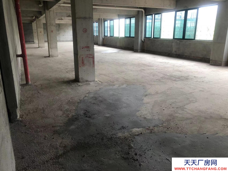 南寧市西鄉塘區(出租) 科興路6號 全新毛坯房,可做廠房、寫字樓、辦公樓