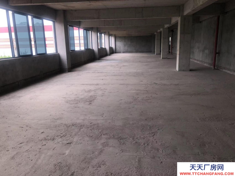 南寧市西鄉塘區(出租) 科興路6號 全新毛坯房,可做廠房、寫字樓、辦公樓