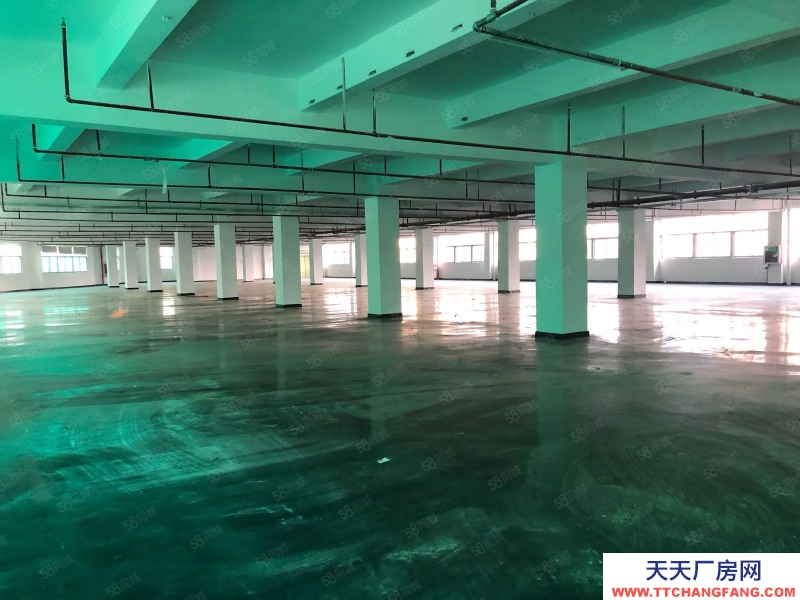 (出租) 深圳寶安石巖高速出口獨棟廠房7800平,工業園帶噴淋招租可分租