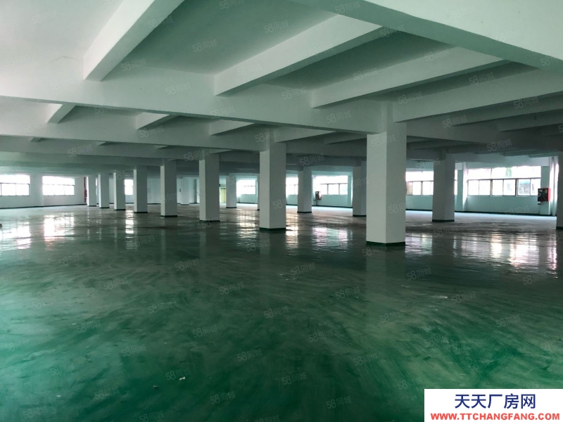 (出租) 深圳寶安石巖高速出口獨棟廠房7800平，工業園帶噴淋招租可分租