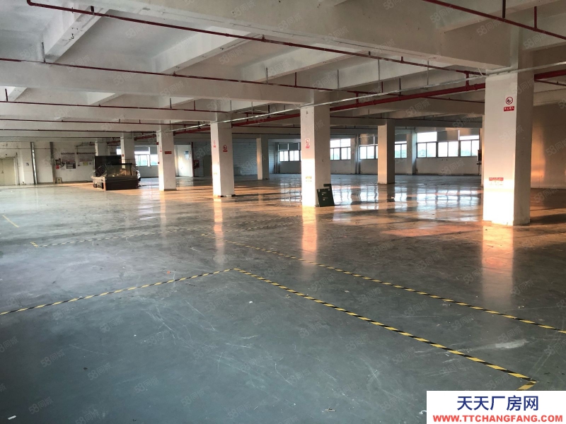 (出租) 深圳寶安石巖高速出口獨棟廠房7800平,工業園帶噴淋招租可分租