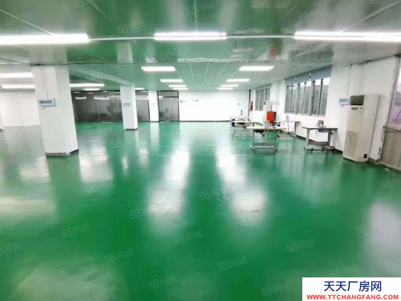 (出租) 深圳寶安福永107國道鳳凰樓上豪華裝修廠房出租帶無塵車間1500平方