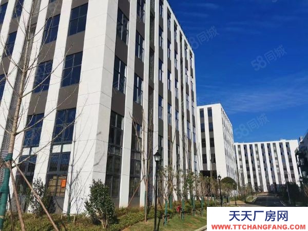 長沙市開福區(qū) 上市國企開發(fā)400平起廠房出售