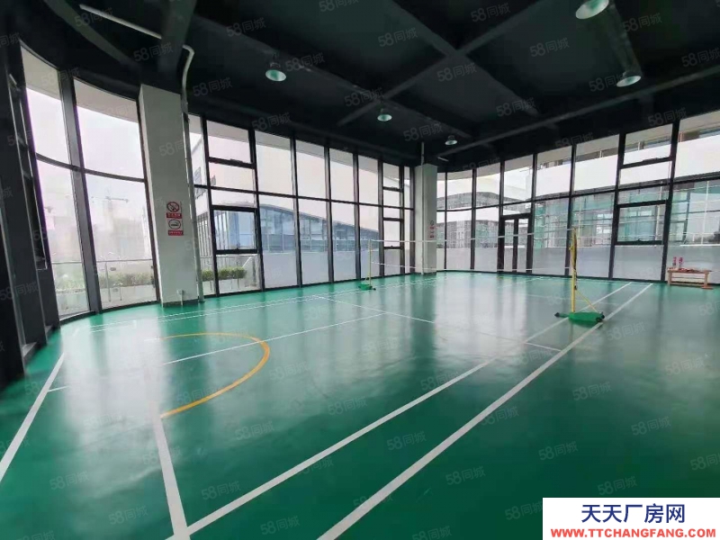 (出售) 合肥蜀山MAX科技園 花園獨棟 500到3000平 雙層7.2米挑高