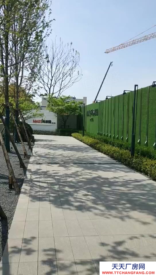 (出售) 合肥蜀山MAX科技園 花園獨棟 500到3000平 雙層7.2米挑高