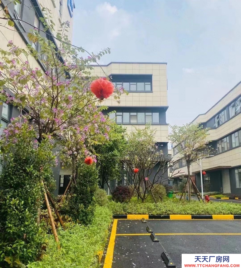 (出售) 合肥蜀山小廟核心經濟示范區，首層8.1米，可架行車，超低價格