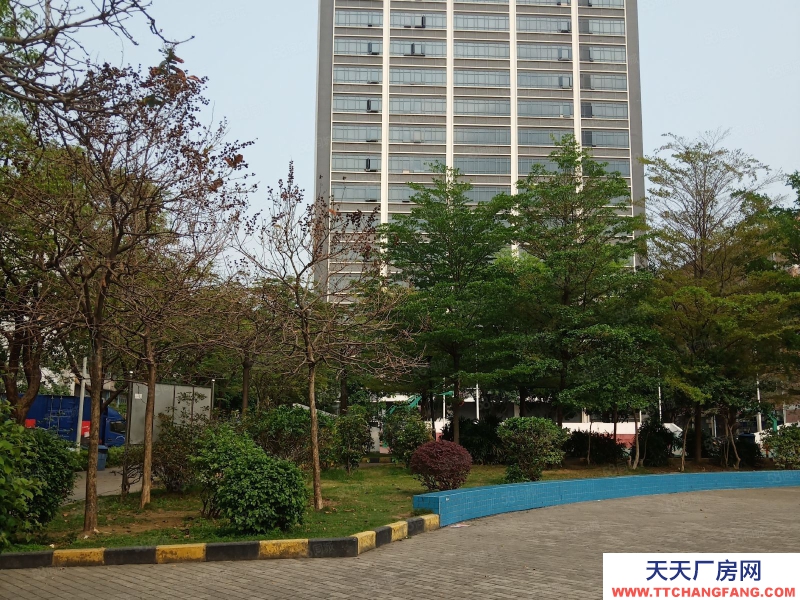 (出售) 深圳寶安大工業區紅本廠房出售