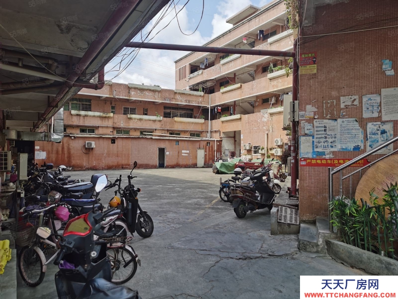 (出售) 深圳寶安松崗獨門獨院紅本廠房13500平方出售