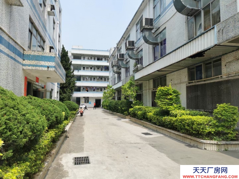 (出售) 深圳龍崗吉祥地鐵站紅本廠房出售 57000平米，大小面積都可以