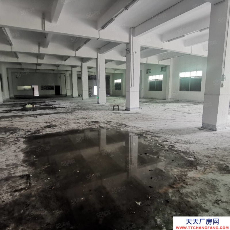 (出租) 深圳龍崗平湖木古地鐵口附近新出5000平獨門獨院廠房倉庫500平起租