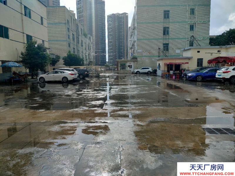 (出租) 深圳龍崗坪山新出獨棟10000平方廠房大小可以分租